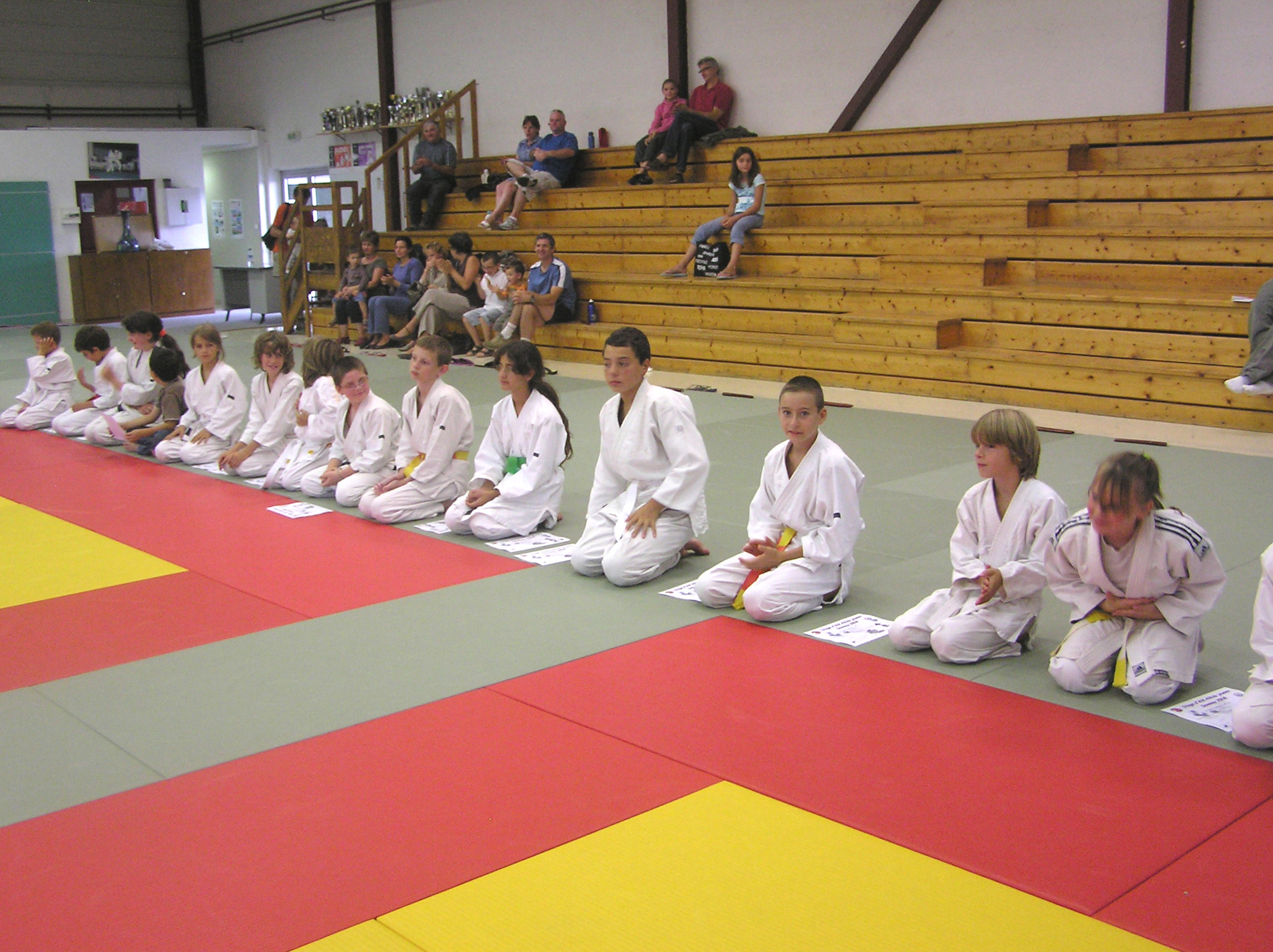 stage jeunes été 2008 à Savenay